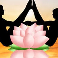 massage-453 massage-453